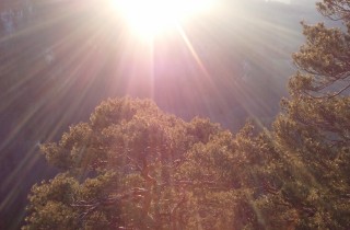 Strahlende Sonne als Sinnbild für Utopia