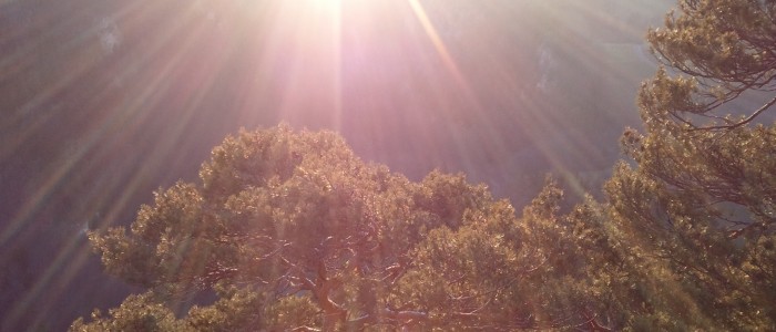 Strahlende Sonne als Sinnbild für Utopia