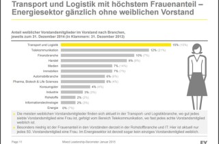 http://www.ey.com/Publication/vwLUAssets/EY_Studie_-_Mixed_Leadership_Barometer_-_Januar_2015/$FILE/EY-Mixed-Leadership-Barometer-Januar-2015.pdf