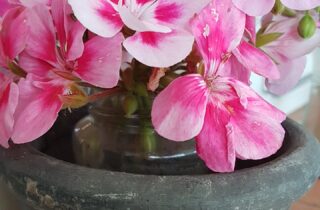 Blumen in Vase